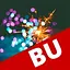 Boston University's logo