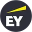 EY's logo